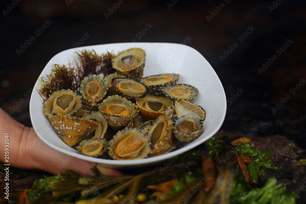 Plate with fresh limpets