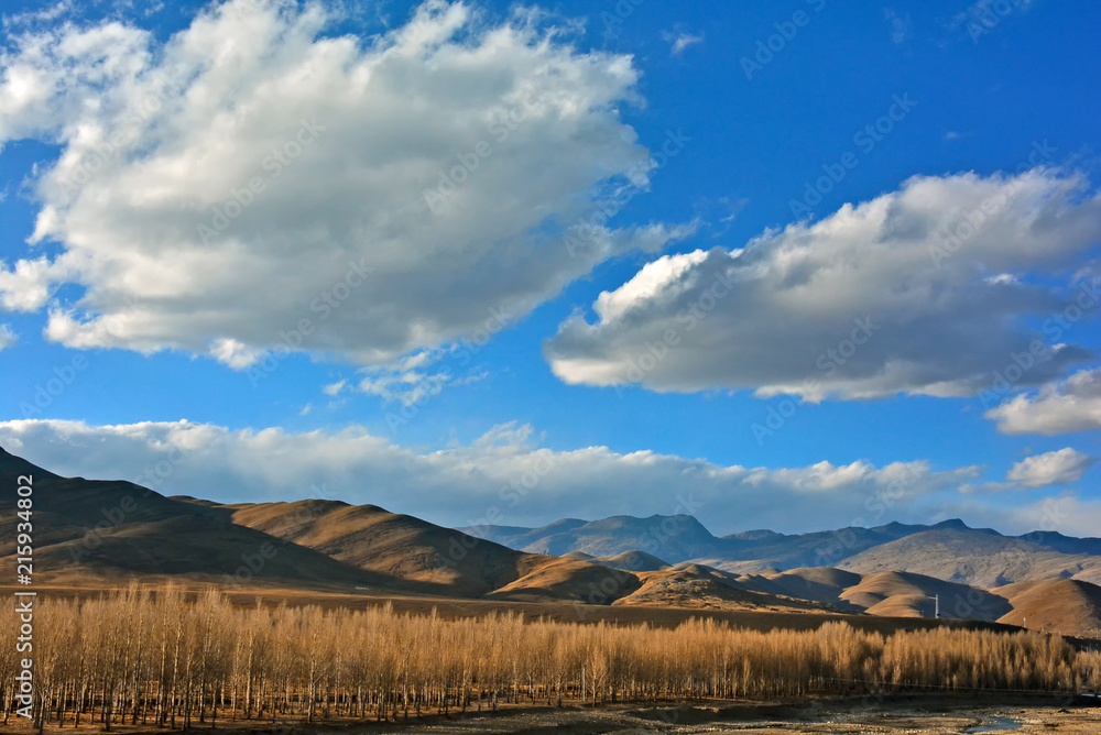 Beautiful landscape scenery with tree, cloudy and blue sky in China