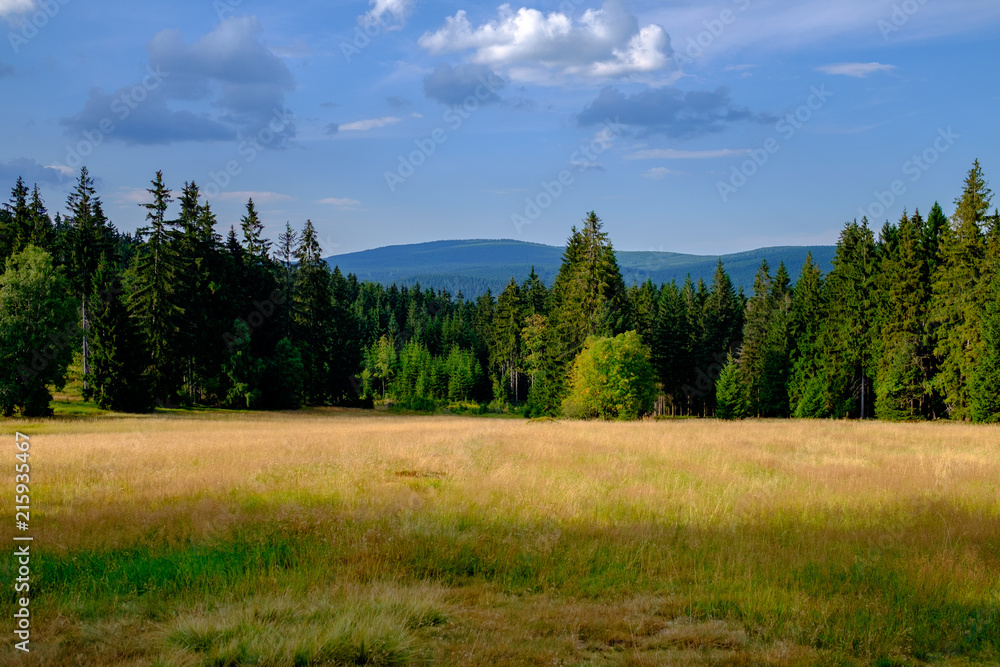 Panorama of Jizera mountains