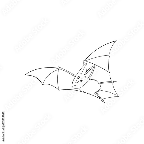 Bat is a nocturnal animal. A symbol of Halloween. The bat in flight
