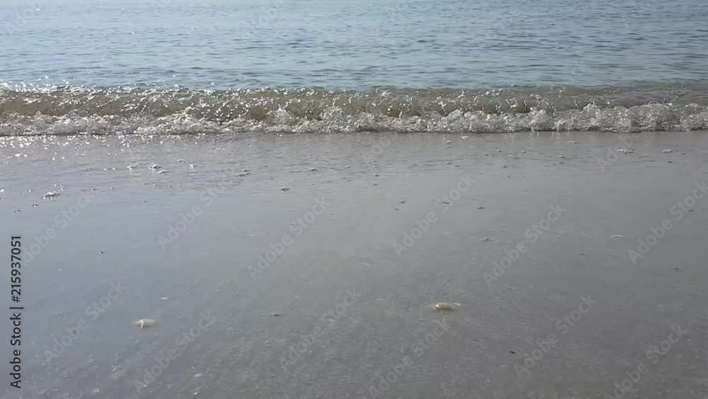 Close up of sea weaves coming to shore. Low angle Close up of sea weaves coming to shore. Low angle