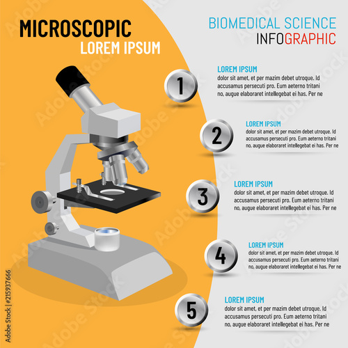 Vector illustration of infographic microscope in 3D with 5 step processes, Biomedical Science concept