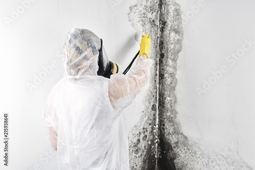 A professional disinfector in overalls processes the walls from mold. Removal of black fungus in the apartment and house. Aspergillus.. photo