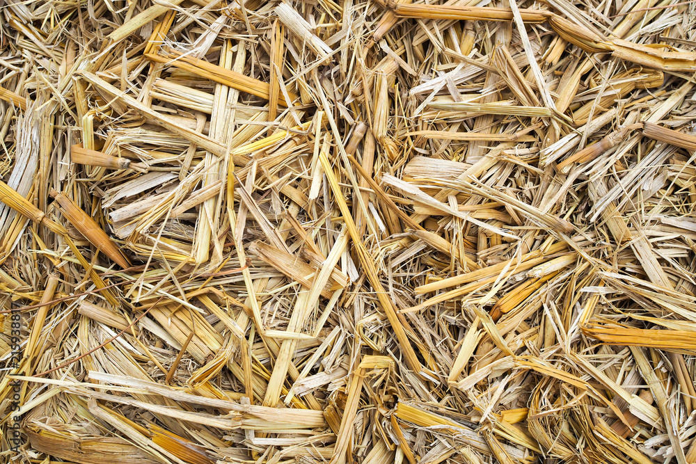 Close up of dry straw texture nature background Close up of dry straw texture nature background