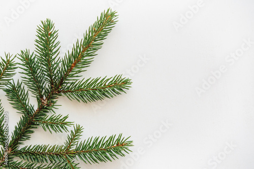 Branch of spruce on a white background. Christmas backdrop. Nearby place for text.