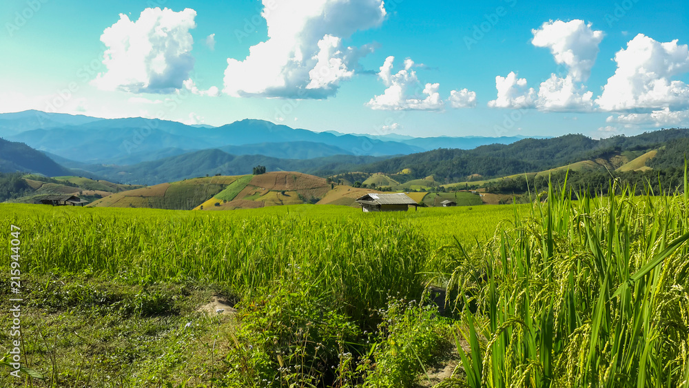 Panoramic View Of Agricultural Field Against Sky in Chiang Mai Thailand.