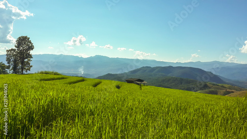 Panoramic View Of Agricultural Field Against Sky in Chiang Mai Thailand. © Sastra