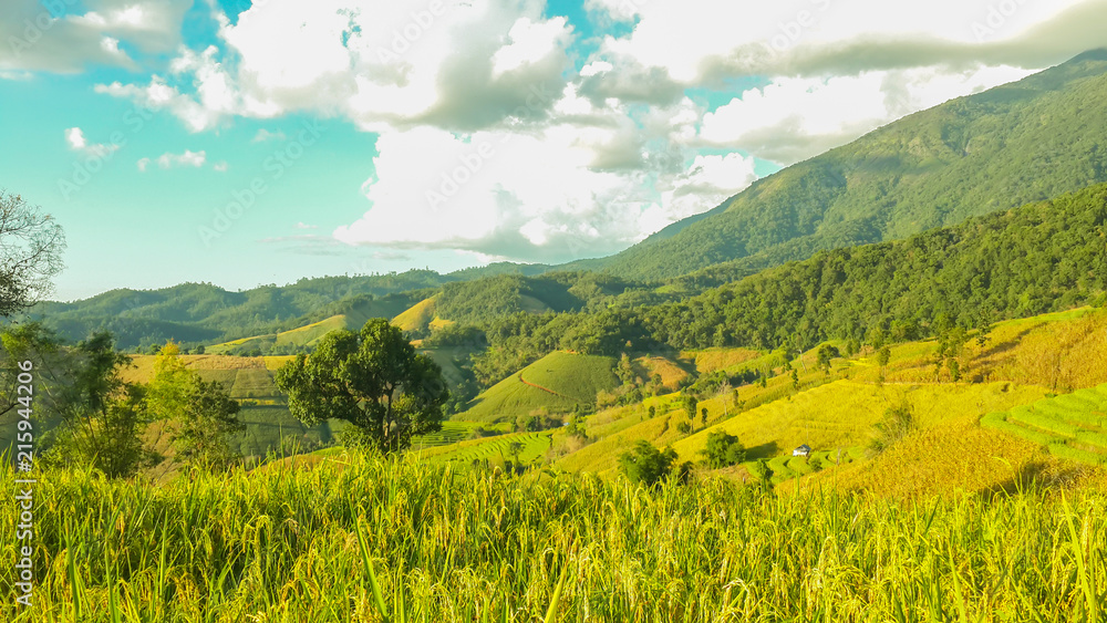Panoramic View Of Agricultural Field Against Sky in Chiang Mai Thailand.