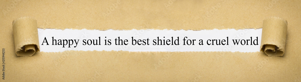 A happy soul is the best shield for a cruel world A happy soul is the best shield for a cruel world