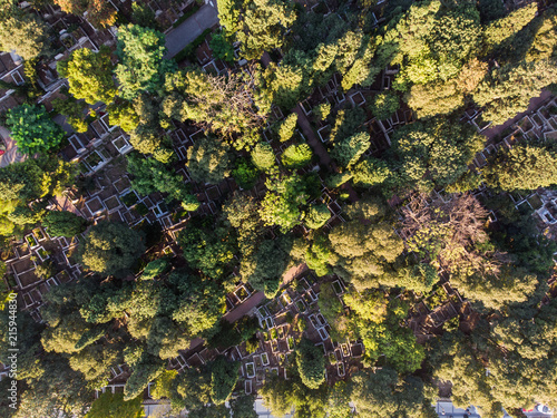 Aerial Drone View of Merkezefendi Cemetery with Trees in Mevlanakapi Istanbul / Turkey. photo