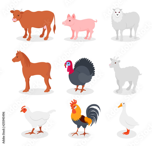 Farm animals set, cow, pig, sheep, horse, turkey, goat, hen, rooster, goose vector Illustrations on a white background