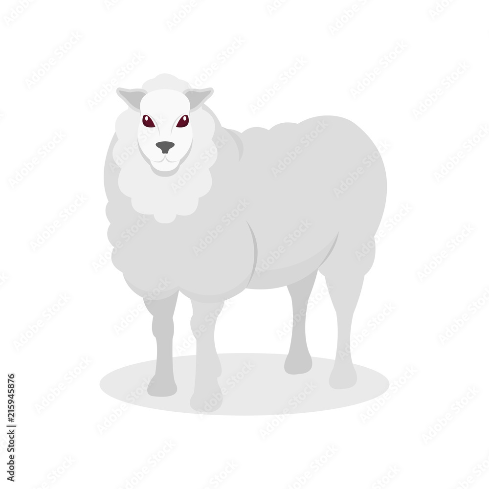 White sheep, farm animal vector Illustration on a white background White sheep, farm animal vector Illustration on a white background