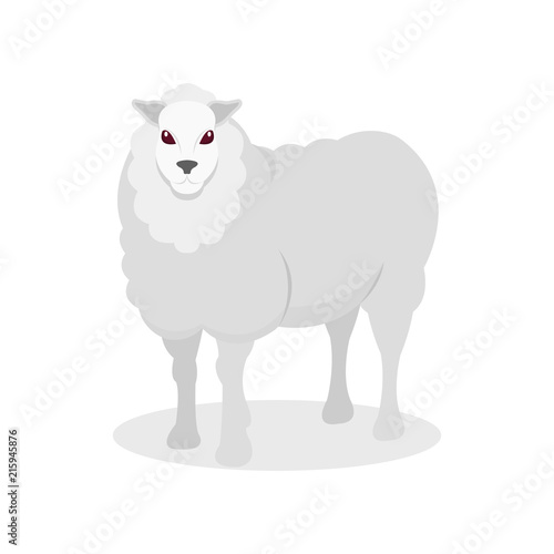 White sheep, farm animal vector Illustration on a white background © Happypictures