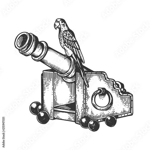 Parrot on cannon engraving vector illustration