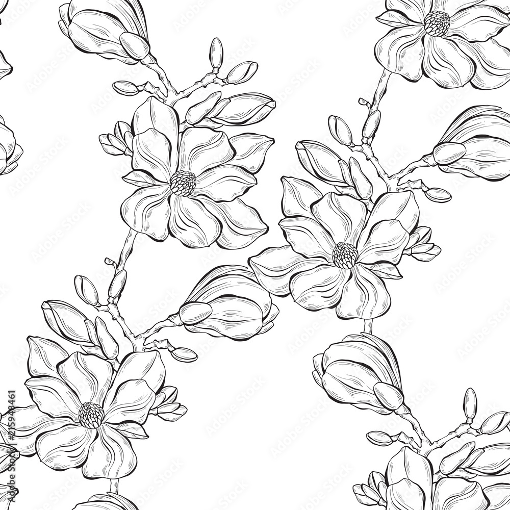 Plakat Wzór z gałęzi magnolii na białym tle. Ilustracja wektorowa monochromatyczne.