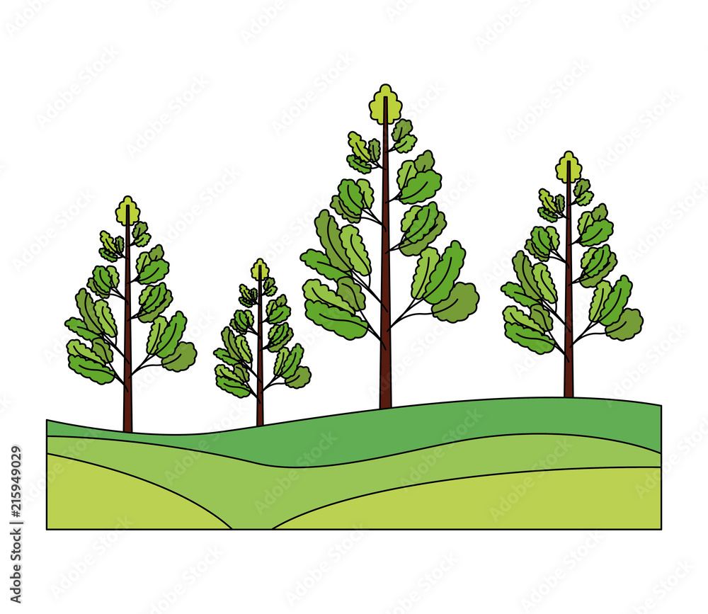Fototapeta premium green nature trees forest foliage