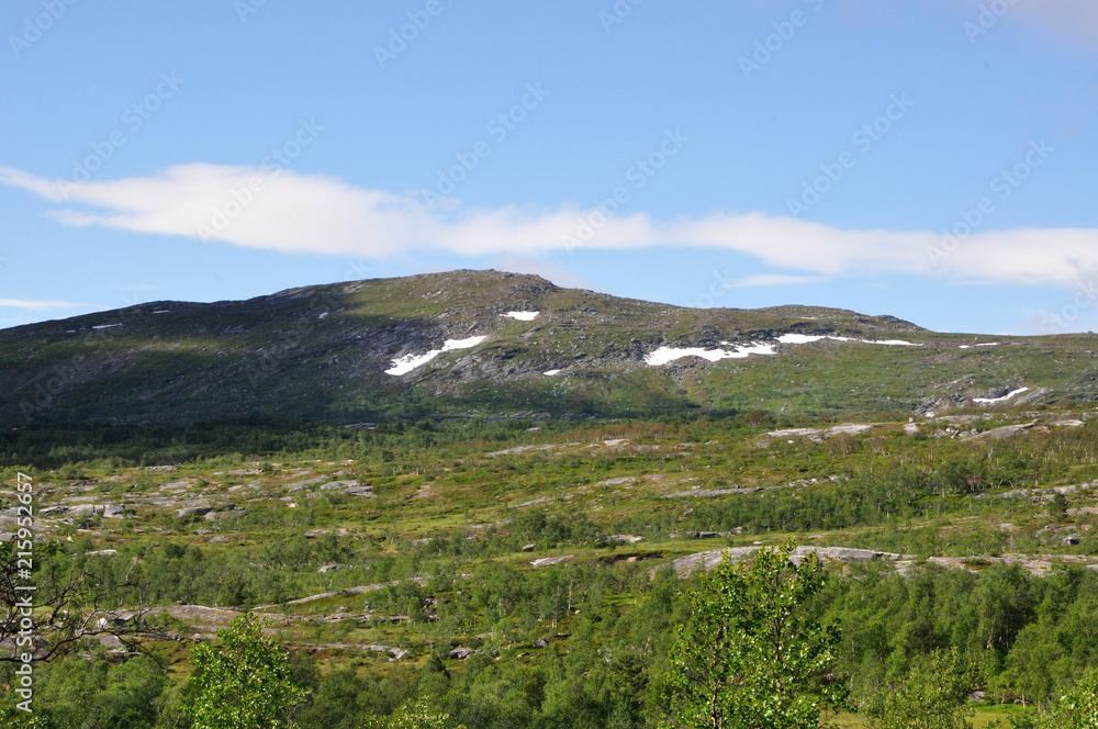 Fototapeta premium Saltfjellet