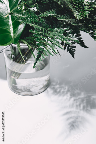 close-up shot of bunch of various green leaves in glass vase on white