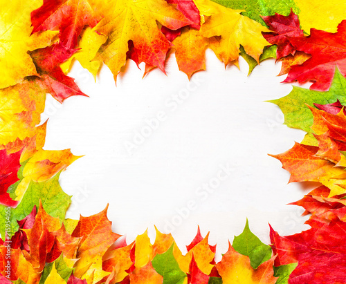 Autumn frame composition with autumn leaves on white background with Copy space.  Flat lay  top view.