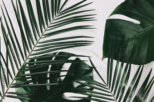 green palm and monstera leaves on white surface