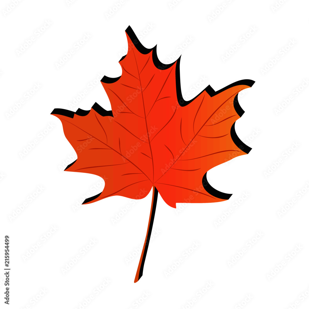 Leaf illustration Leaf illustration