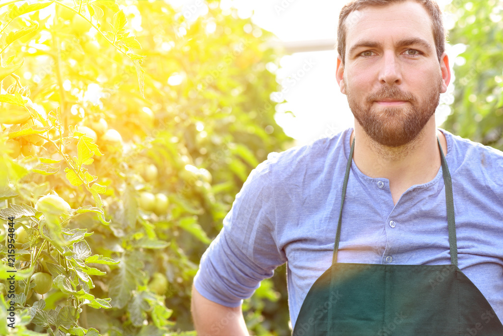 Obraz premium Portrait Bauer im Gewächshaus in der Landwirtschaft // portrait of a farmer in agriculture 