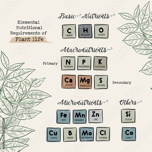 Guide of Macronutrients and Micronutrients for Plants vector.