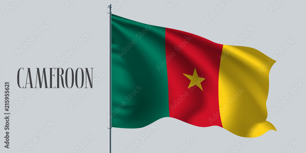 Cameroon waving flag vector illustration