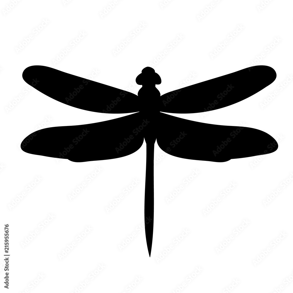 silhouette of dragonfly