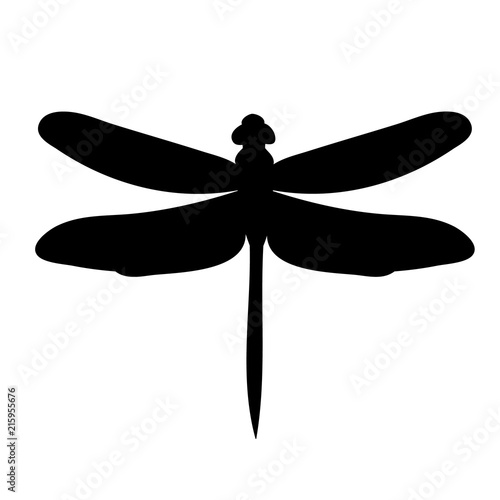 silhouette of dragonfly