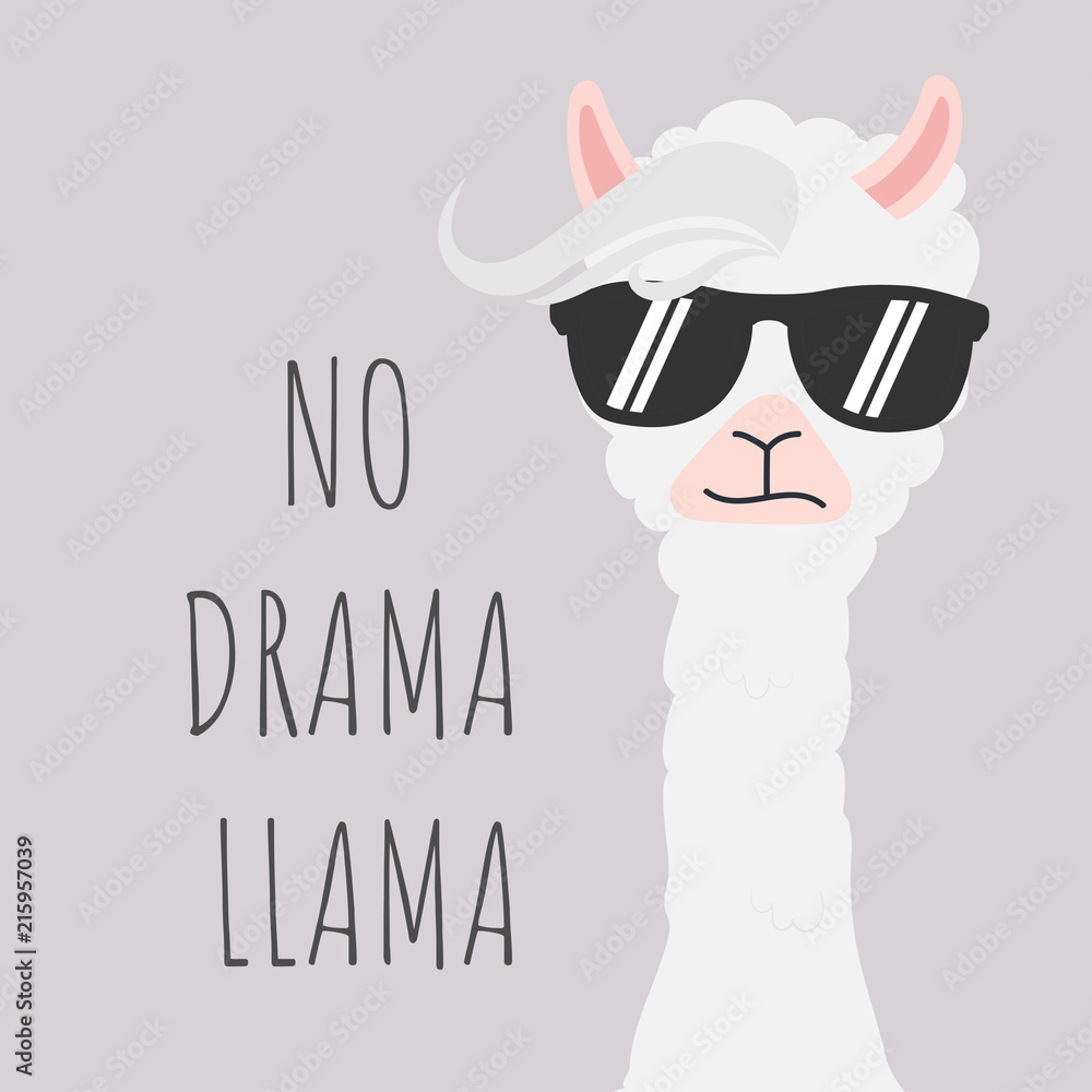 Cute Llama design with no drama motivational quote. - obrazy, fototapety, plakaty 