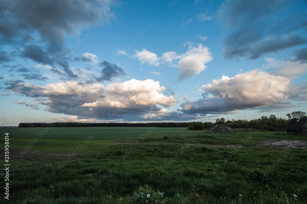 Obraz premium landscape