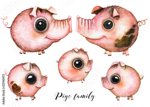 Canvas Print Picture of a five pigs family members in white background