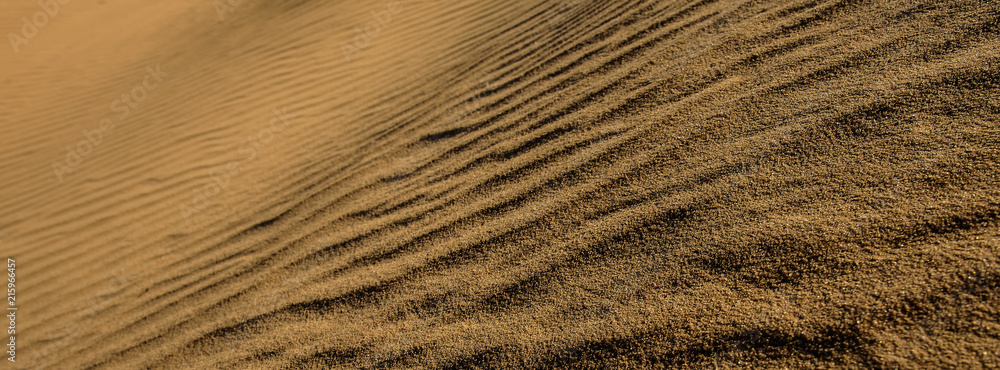 surface of sand in the dunes. Web banner surface of sand in the dunes. Web banner