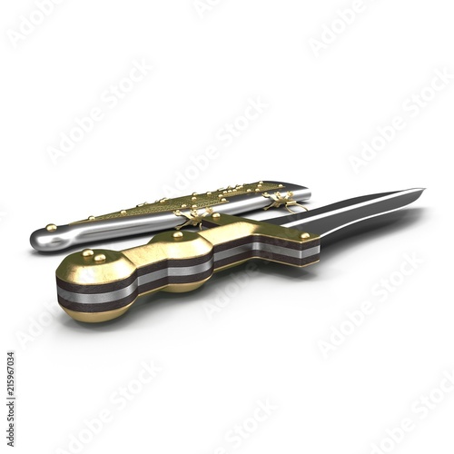 Roman Pugio Dagger with Sheath on white. 3D illustration photo