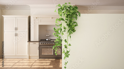 Green interior design concept background with copy space  foreground white wall with potted plant  classic kitchen with parquet floor