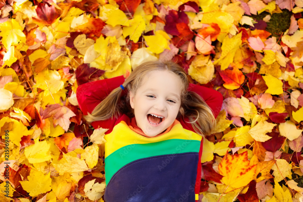 Child in fall park. Kid with autumn leaves. Child in fall park. Kid with autumn leaves.