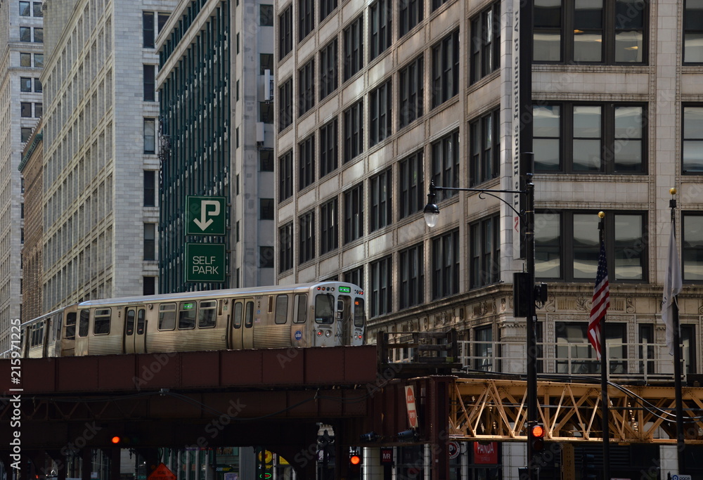 Fototapeta premium Chicago, Illinois