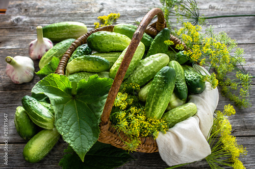 Bilde på lerret Preparation pickling cucumber