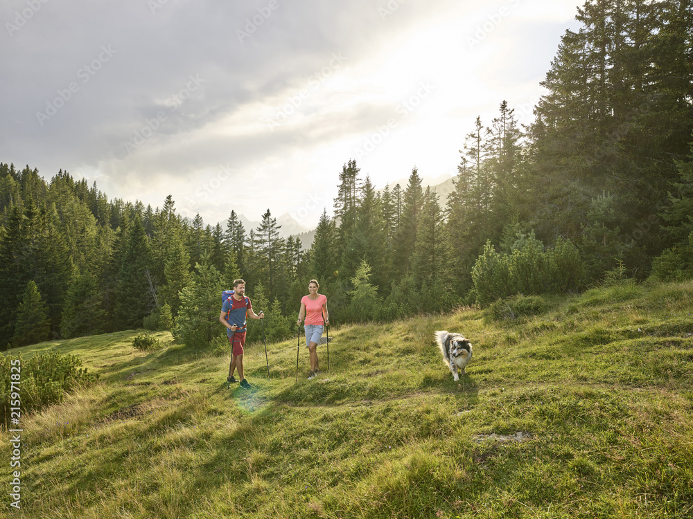 Austria, Tyrol, Mieming, couple with dog hiking in alpine scenery Austria, Tyrol, Mieming, couple with dog hiking in alpine scenery