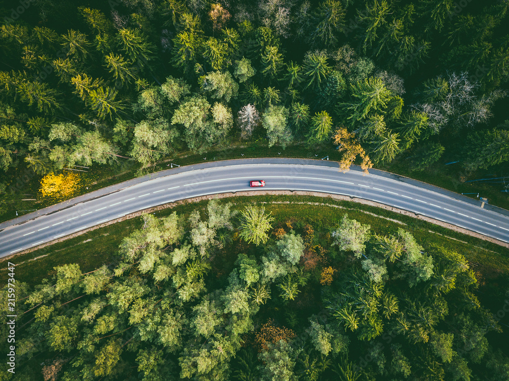 Aerial view of car driving through the forest on country road