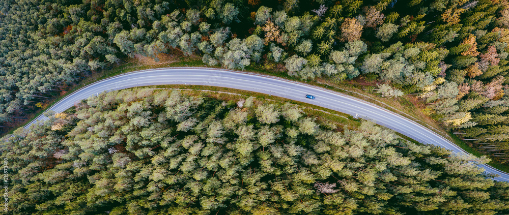 Aerial view of car driving through the forest on country road