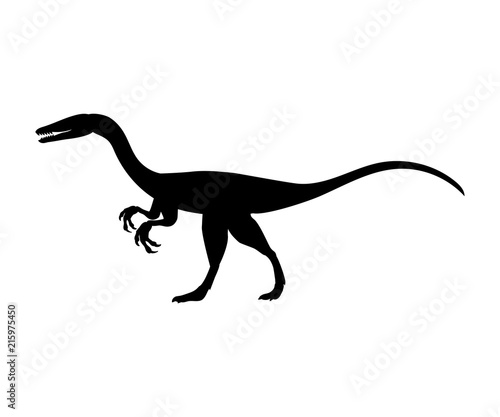 Coelophysis silhouette dinosaur jurassic prehistoric animal © KozyrevaElena