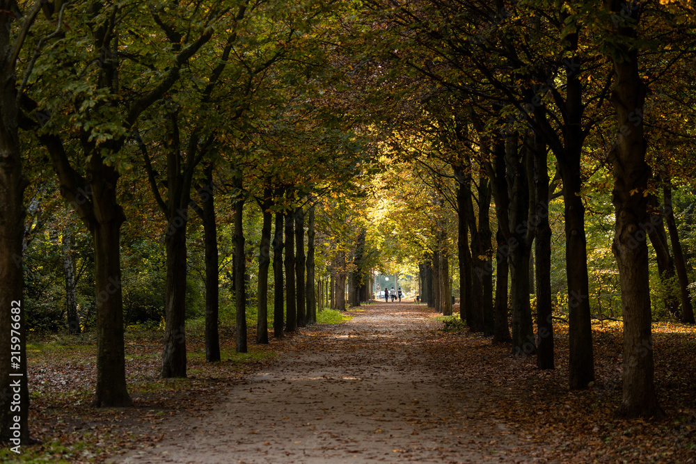 Naklejka premium Autumn in the Tiergarten park in Berlin