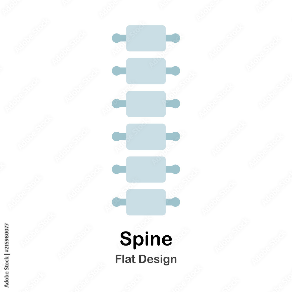 Spine Flat Illustration Spine Flat Illustration