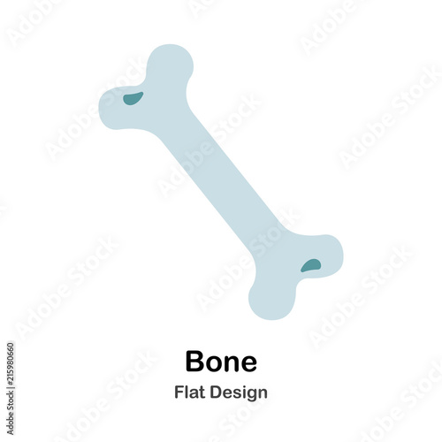 Bone Flat Illustration