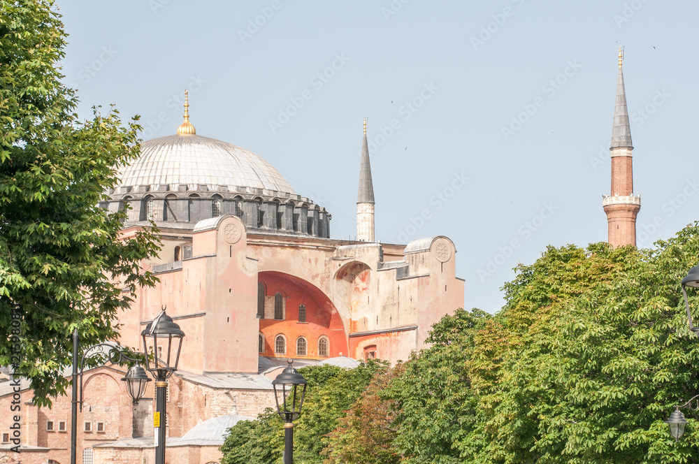 Big Mosque in Istanbul, surrounded by trees 