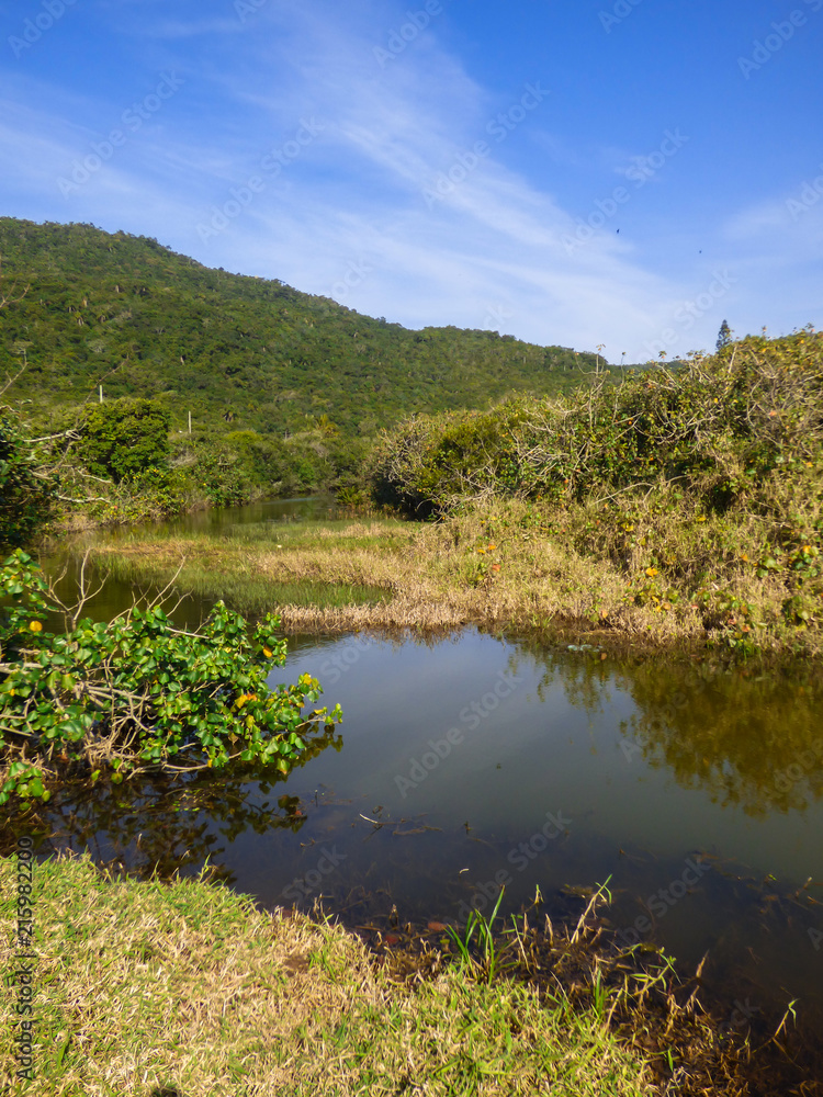 Pond and mountains at Brava Beach, north of Florianopolis island - Brazil