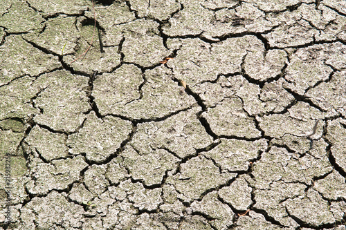 Dry cracked earth due to hot weather and drought