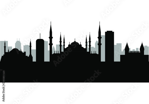 city skyline of istanbul © robcartorres